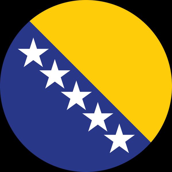 Bosnia flag