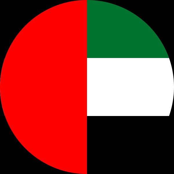 uae flag